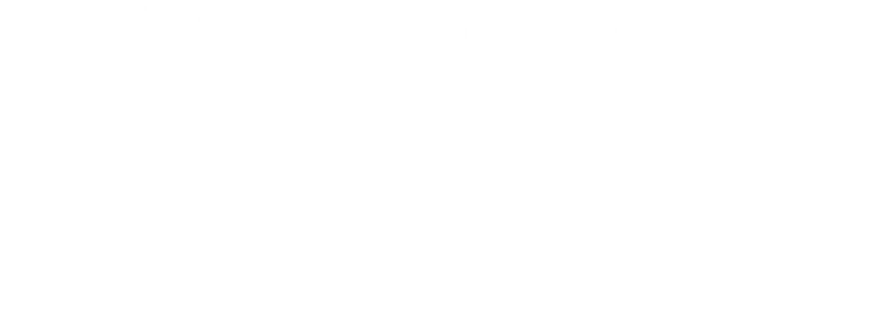 logo-anita-horizontal-02